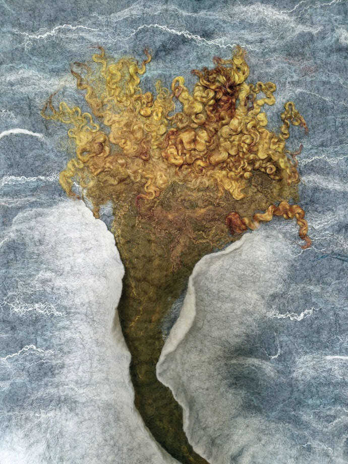 Coral sea 4